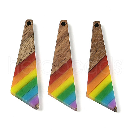 Pride Rainbow Theme Resin & Walnut Wood Pendants WOOD-K012-08B-1