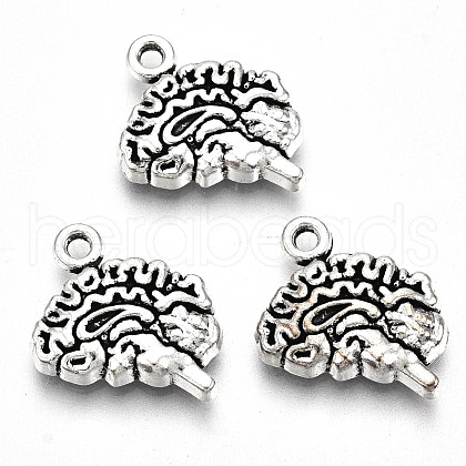 Tibetan Style Alloy Charms TIBE-S323-049AS-RS-1