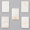 Natural Freshwater Shell Cabochons SHEL-S276-105B-1