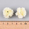 Resin Beads RESI-T059-01A-06-3