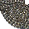 Natural Snowflake Obsidian Beads Strands G-K389-E32-01-3