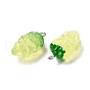 Transparent Resin Fruit Pendants CRES-Z003-02B-2