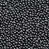 6/0 Glass Seed Beads SEED-L011-08A-10-3