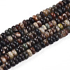 Natural Biotite Beads Strands G-T140-69B-4