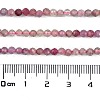Natural Plum Blossom Tourmaline Beads Strands G-G991-B02-02-4