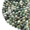 Natural Tree Agate Beads Strands G-P573-A17-01-3