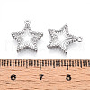 304 Stainless Steel Charms STAS-N109-108P-3