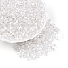 Glass Seed Beads SEED-N007-01A-1