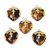 Natural Tiger Eye Faceted Pendants G-K347-09G-02-1