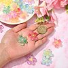 24Pcs 12 Colors Translucent Resin Pendants RESI-CJ0002-50-4