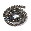 Natural Gemstone Labradorite Round Beads Strands G-E251-33-6mm-01-5
