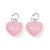 Alloy Enamel Charms PALLOY-R158-03S-04-1