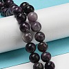 Grade A Natural Fluorite Beads Strands G-R494-A13-03-4