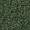 MIYUKI Round Rocailles Beads X-SEED-G007-RR0350-4