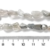 Natural Eagle Eye Stone Beads Strands G-P497-01C-14-5