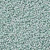 11/0 Grade A Round Glass Seed Beads SEED-N001-B-0487-2