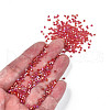 Grade A Glass Seed Beads SEED-S022-05I-5