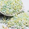 Macaron Color Opaque Frosted Glass Seed Beads X1-SEED-K009-12B-04-1