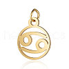 201 Stainless Steel Charms STAS-T036-T513-4-1
