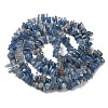 Natural Kyanite Chip Beads Strands G-G905-14-3