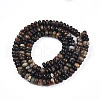 Natural Biotite Beads Strands G-T140-69B-2