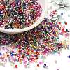 Glass Seed Beads SEED-S042-04B-18-1