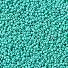 MIYUKI Round Rocailles Beads SEED-X0055-RR4475-2