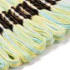 10 Skeins 6-Ply Polyester Embroidery Floss OCOR-K006-A14-2