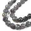 Natural Labradorite Beads Strands G-N327-03A-06-3