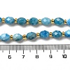 Natural Apatite Beads Strands G-H297-C03-01-4