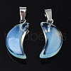 Spray Painted Glass Pendants GLAA-N035-021-A02-3