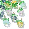 20Pcs 4 Colors Handmade Lampwork Charms LAMP-CJ0001-92-3