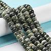 Natural Silver Line Jasper Beads Strands G-Z042-B01-03-2