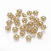 Alloy Fancy Bead Caps PALLOY-L216-02G-1