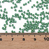 11/0 Czech Opaque Glass Seed Beads SEED-N004-003B-35-6