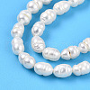 Natural Cultured Freshwater Pearl Beads Strands PEAR-N012-04L-01-4