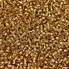 MIYUKI Delica Beads SEED-X0054-DB2525-3