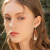 4 Pair 4 Color Resin & Wood Dangle Earrings EJEW-AB00042-6