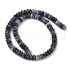 Natural Weathered Agate Beads Strands G-NH0047-A01-02-3