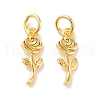 Brass Charms KK-G418-18G-1