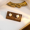 Apple Alloy Plastic Stud Earrings FS-WG1EC88-01-5