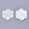 Natural Freshwater Shell Pendants SHEL-N026-31-2