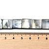 Natural Black Lip Shell Beads Strands BSHE-D300-07-12mm-4
