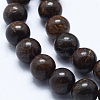 Natural Bronzite Bead Strands X-G-P370-05-8mm-3