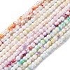 Pearlized Handmade Lampwork Beads Strands LAMP-R020-04-1