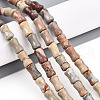 Natural Aqua Terra Jasper Beads Strands G-T140-93-1