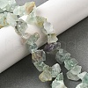 Natural Fluorite Beads Strands G-S386-B01-1