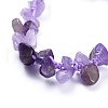 Adjustable Natural Amethyst Chip Beads Braided Bead Bracelets BJEW-JB04392-02-2