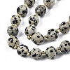 Natural Dalmatian Jasper Beads Strands G-N326-100-02-3
