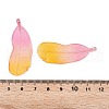 Two Tone Frosted Acrylic Pendants FACR-T007-02J-3